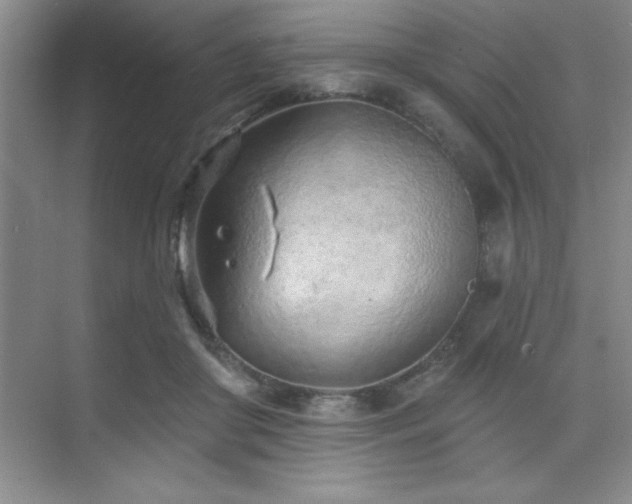 X0000073830410200608101208