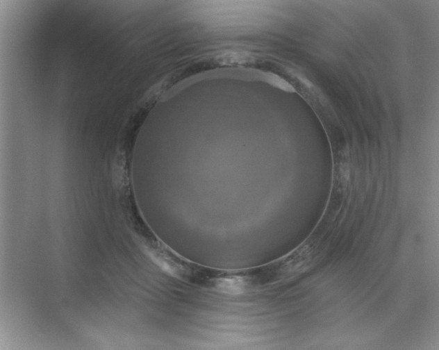 X0000073830411200608101208