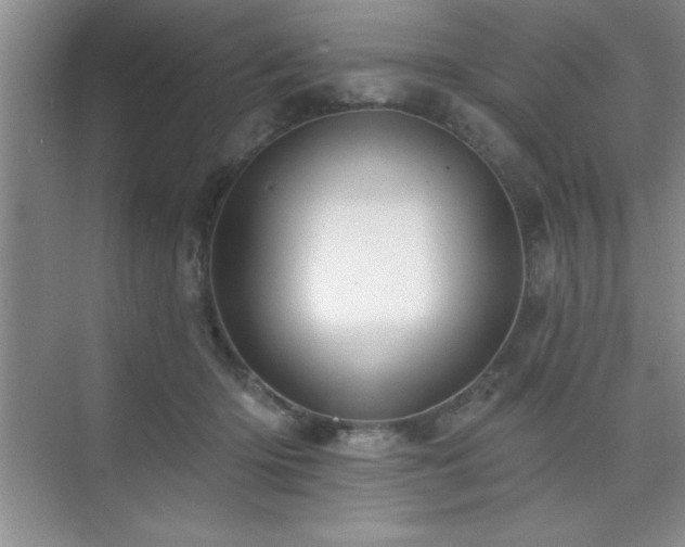 X0000073830414200608101208