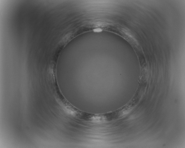 X0000073830415200608101208