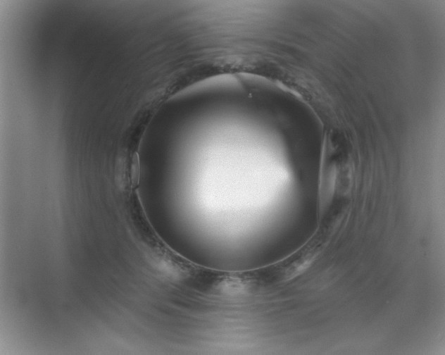 X0000073830416200608101208