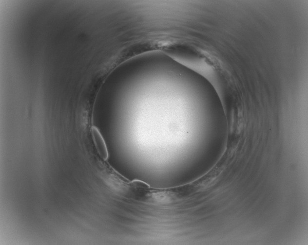 X0000073830417200608101208