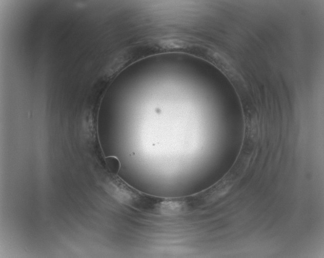 X0000073830418200608101208