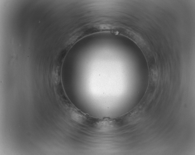 X0000073830422200608101208