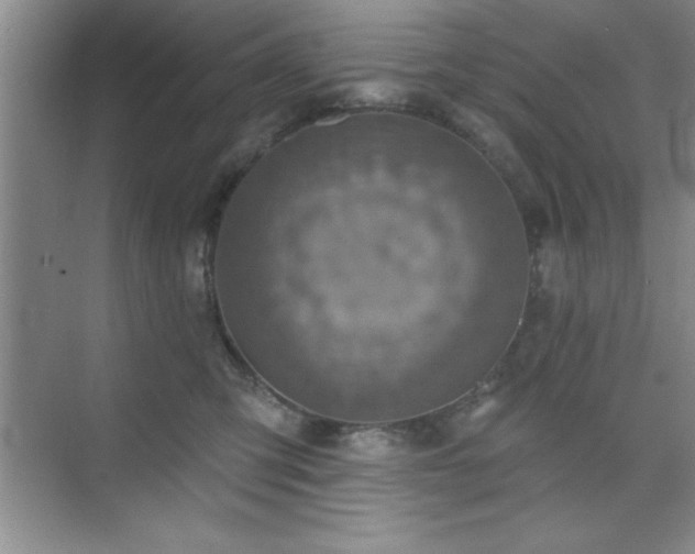 X0000073830423200608101208