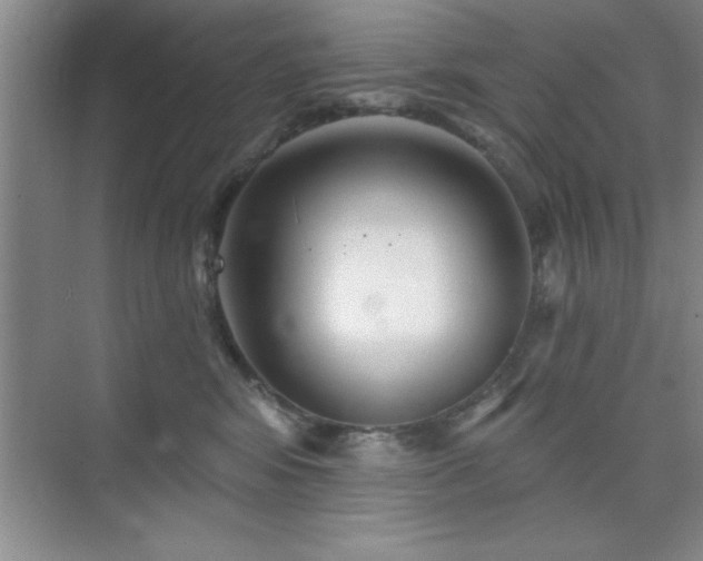 X0000073830424200608101208