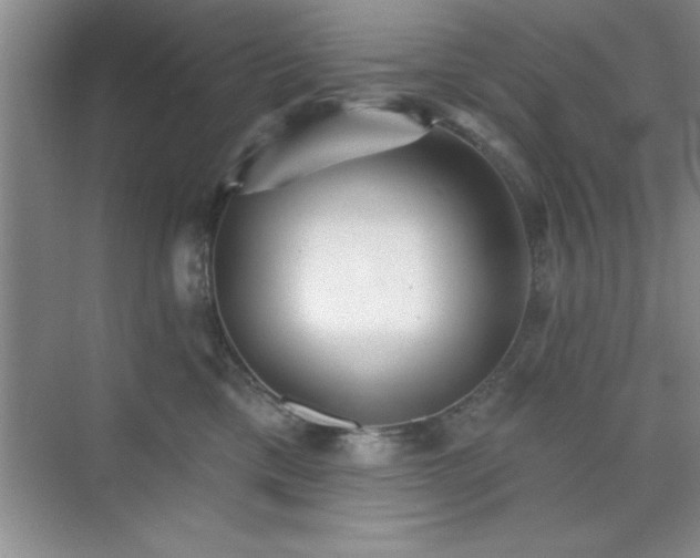 X0000073830425200608101208