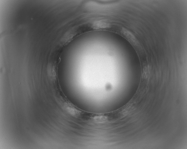 X0000073830426200608101208