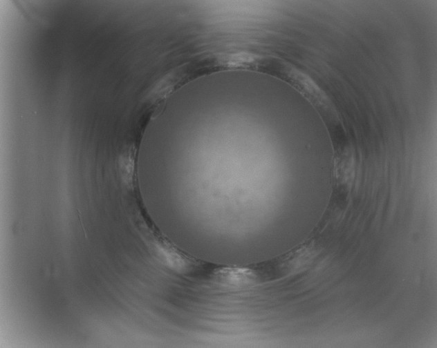 X0000073830427200608101208