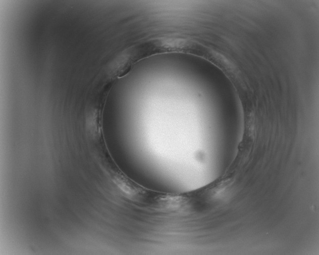 X0000073830428200608101208