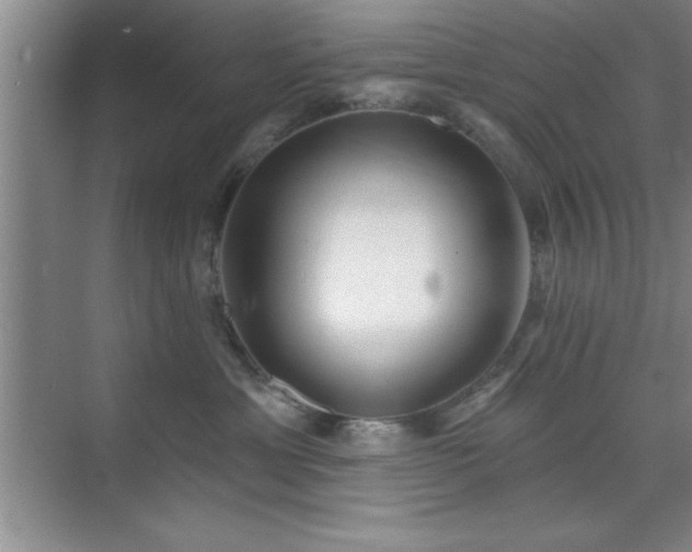 X0000073830429200608101208