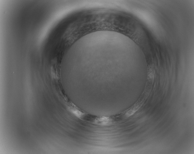 X0000073830431200608101208