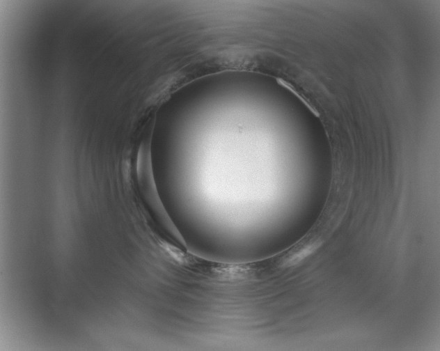 X0000073830432200608101208