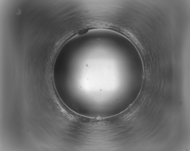 X0000073830433200608101207