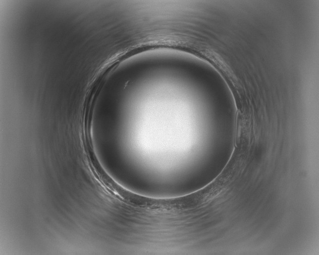 X0000073830434200608101207