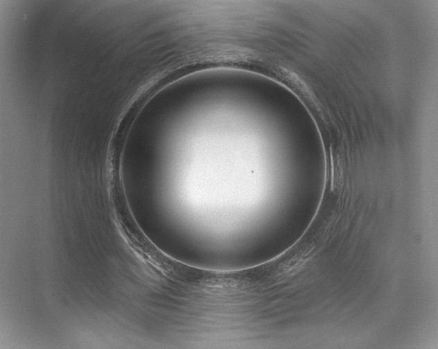 X0000073830435200608101207