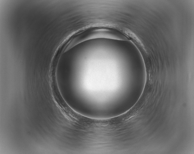 X0000073830436200608101207