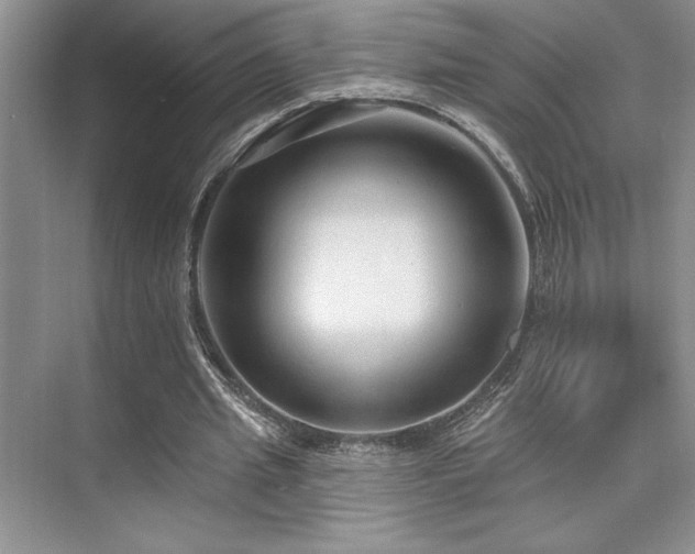 X0000073830437200608101207