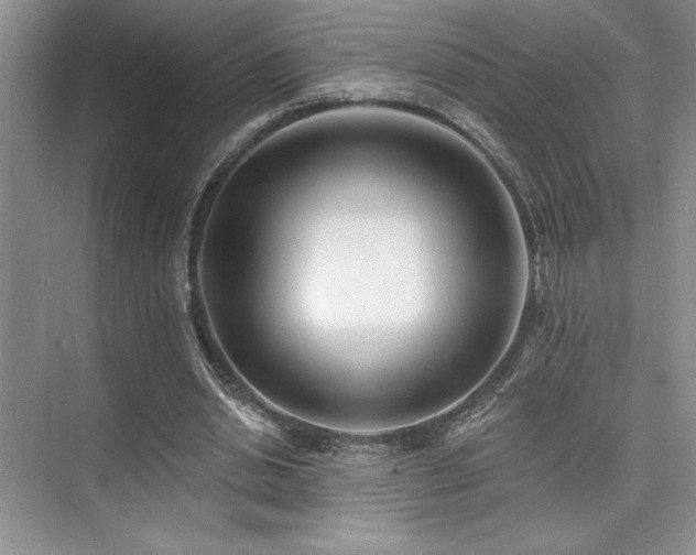 X0000073830438200608101207