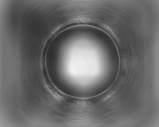 X0000073830439200608101207