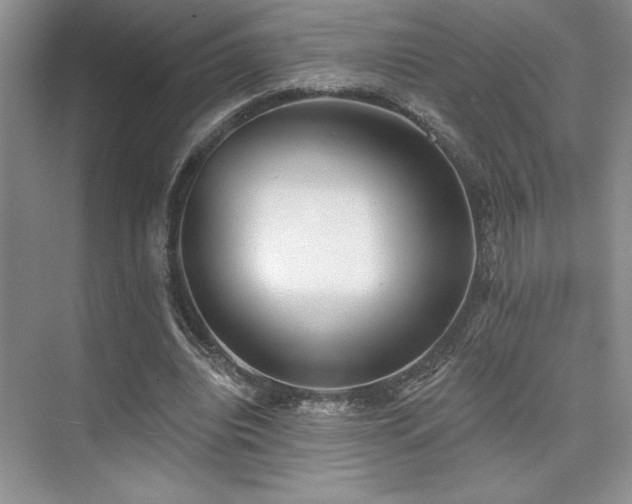 X0000073830440200608101207