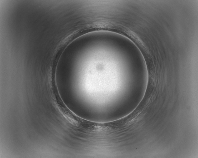 X0000073830442200608101207