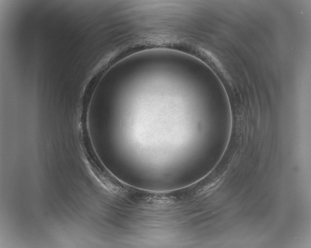 X0000073830443200608101207