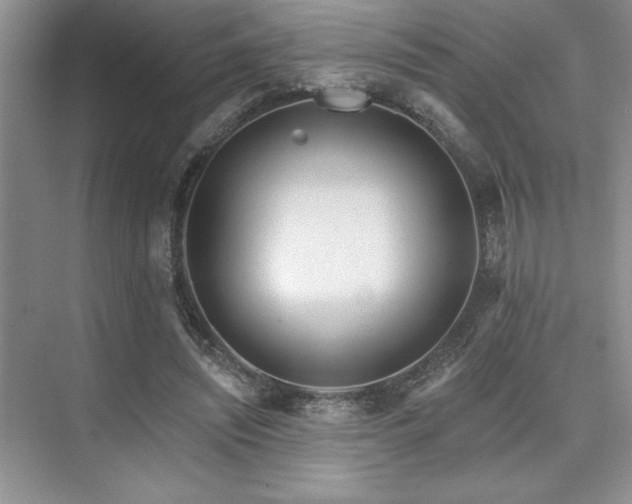 X0000073830444200608101207