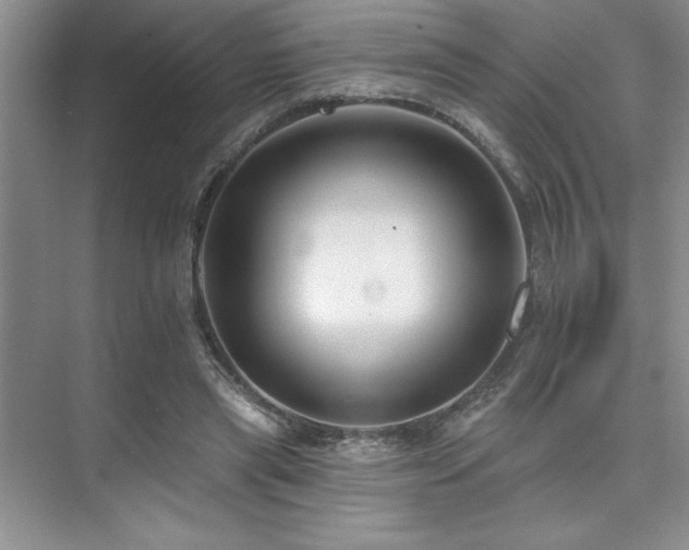 X0000073830445200608101207