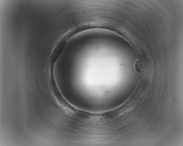 X0000073830446200608101208