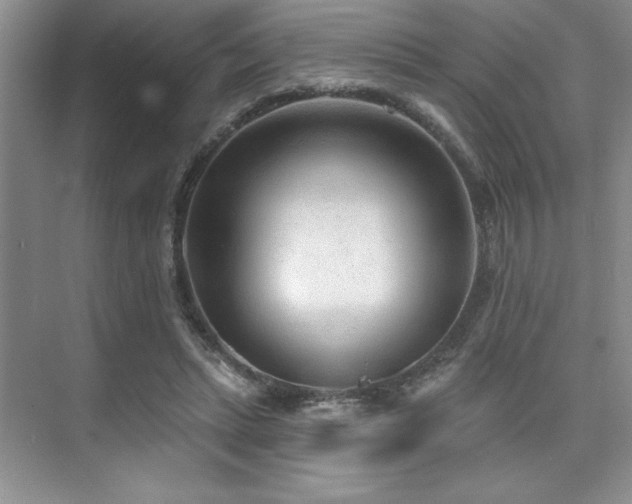 X0000073830447200608101208