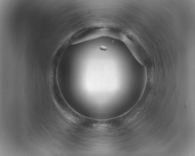 X0000073830448200608101208