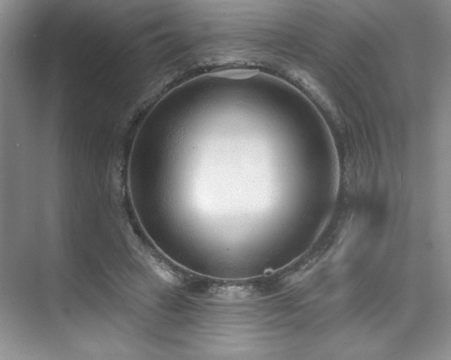 X0000073830449200608101208