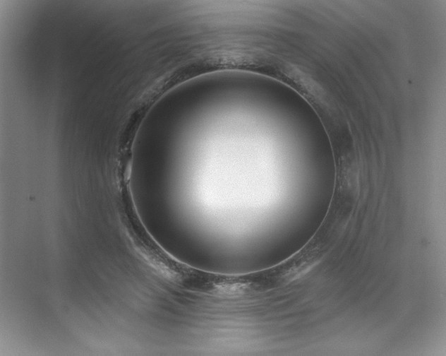 X0000073830450200608101208