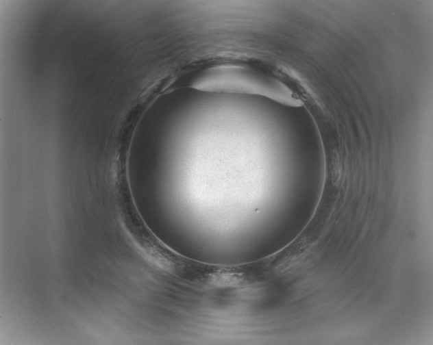 X0000073830451200608101208