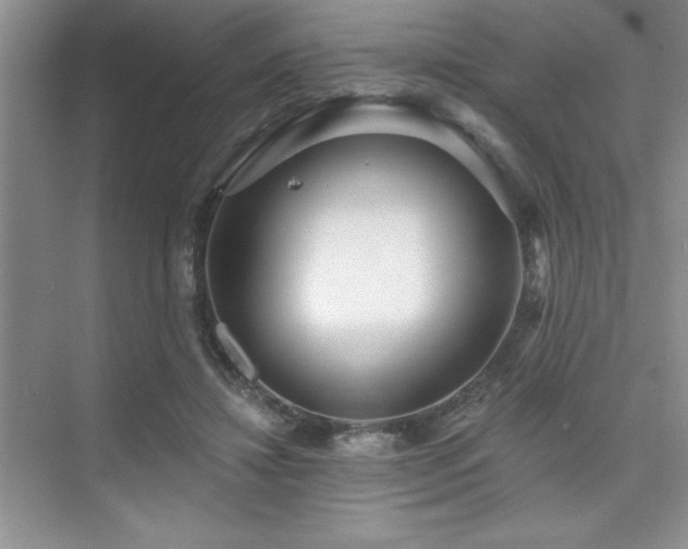 X0000073830452200608101208