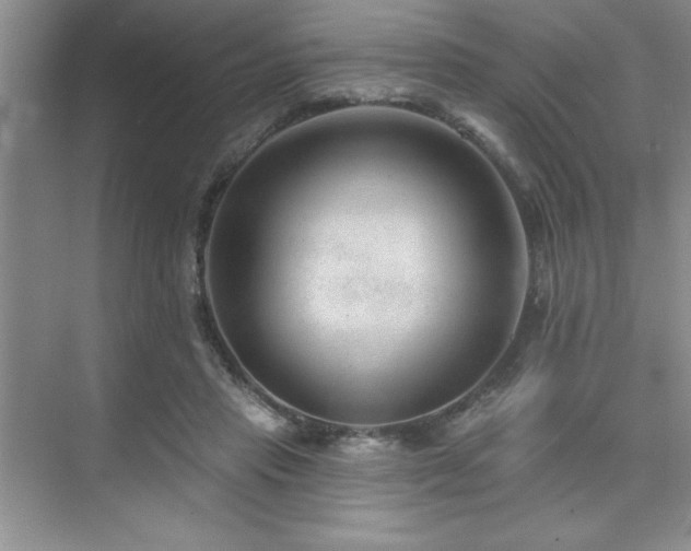 X0000073830453200608101208