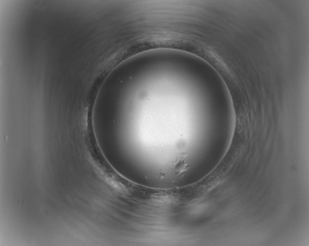 X0000073830454200608101208