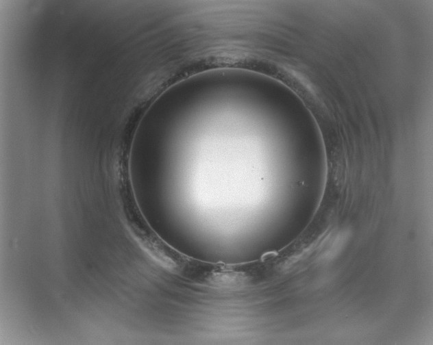 X0000073830455200608101208