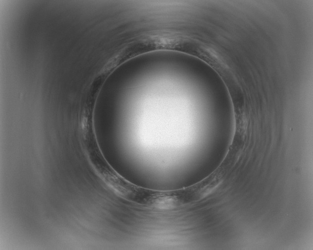 X0000073830456200608101208