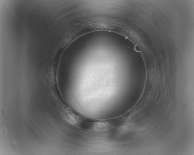 X0000073830457200608101208