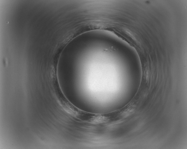 X0000073830459200608101208