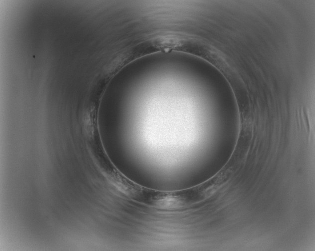 X0000073830460200608101208