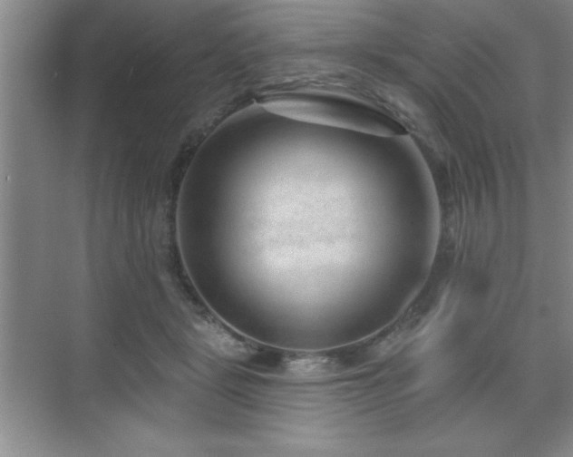 X0000073830461200608101208