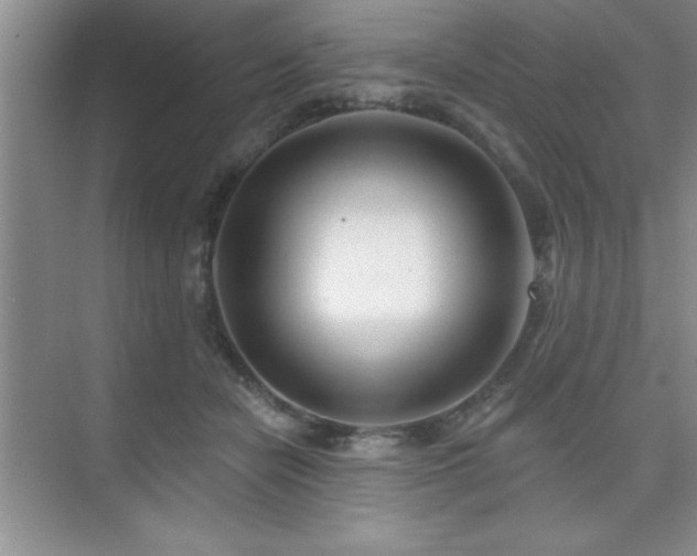 X0000073830462200608101208