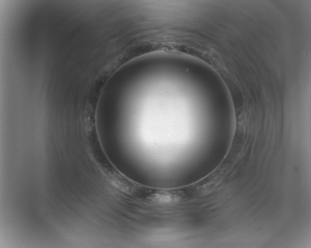 X0000073830464200608101208