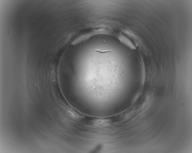 X0000073830465200608101208