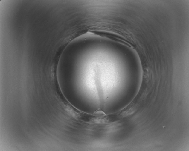 X0000073830466200608101208