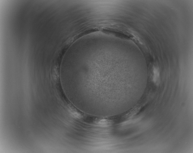 X0000073830467200608101208