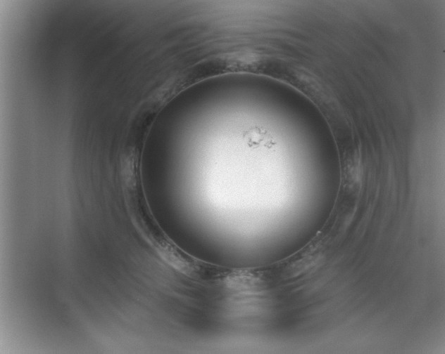 X0000073830468200608101208